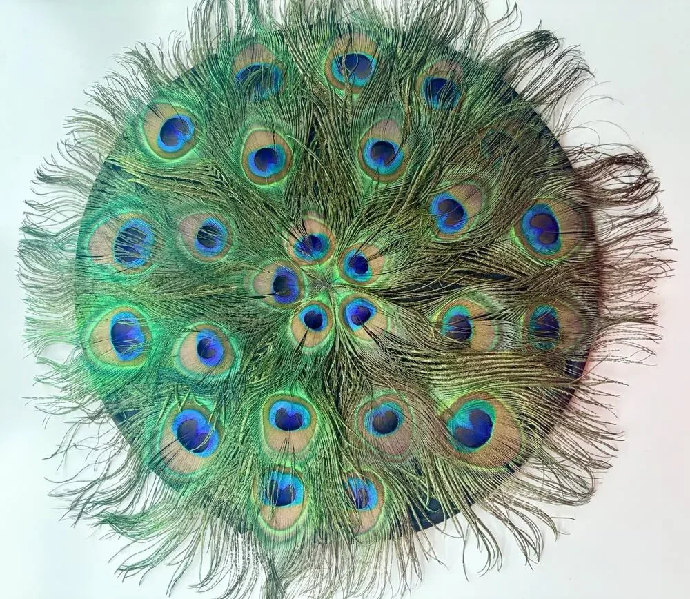 Peacock Placemat Pier One Round Centerpiece Natural Feather 15” Glam Charger